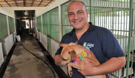 Unidade de Zoonoses atua na prevenção e controle de doenças