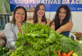 Feira Alagoana da Agricultura Familiar e Economia Solidária contará com participação de 24 municípios