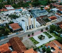 AL tem 4º maior crescimento do valor da extração vegetal do país