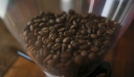 Conab prevê que país colherá 50,92 milhões de sacas de café neste ano
