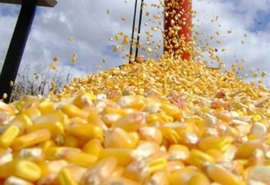 Mercado do milho continua aquecido nos portos brasileiros