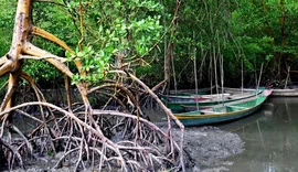 Alagoas alcança a marca histórica de 100 Unidades de Conservação