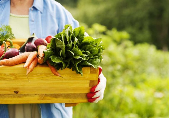 Governo garante R$ 3 milhões para capacitação e ampliação de produção de alimentos orgânicos