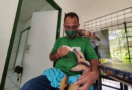 IMA promove campanha de arrecadação para filhotes do Cetas