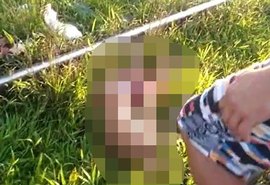 Criança se desiquilibra, cai em linha férrea e morre ao ser atingida por trem