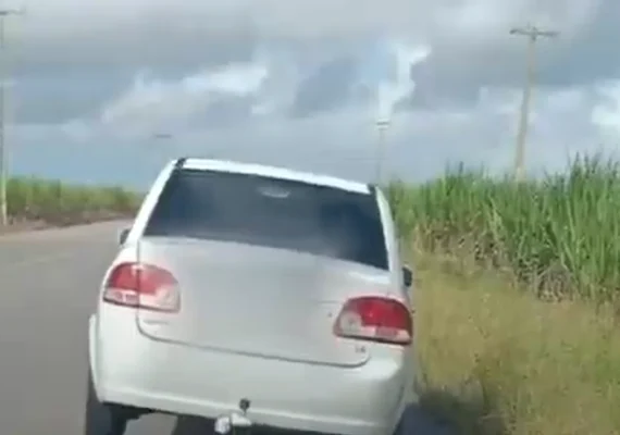 Homem é encontrado morto em canavial às margens da AL-105, em Campo Alegre
