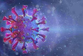 Estado ultrapassa os 5 mil mortos pela covid-19 neste domingo (13)