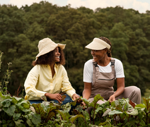 Seduc abre nova chamada pública para compra de alimentos da agricultura familiar