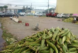 Secretaria define local para venda de milho no Jacintinho; confira