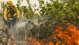 Brasil já registrou mais de 154 mil focos de calor este ano