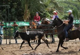 Expoagro 2025: prova de Ranch Sorting contará com categoria oficializada pela ABQM