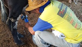 CPLA estimula o fortalecimento da agricultura familiar em Alagoas