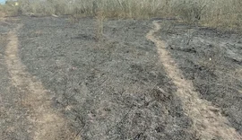 Incêndio é registrado na área da aldeia Kariri-Xocó, em Alagoas