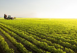 Caixa aumenta em 20% oferta de crédito rural