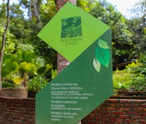 Alurb lança projeto Café no Parque no Municipal de Maceió