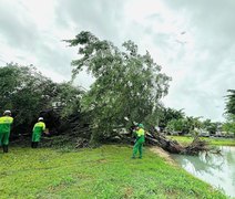 Alurb intensifica ações preventivas após fortes chuvas em Maceió