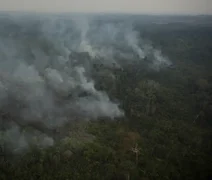 Risco de incêndio fecha 80 Unidades de Conservação em São Paulo