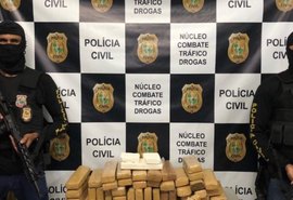 PF incinera mais de meia tonelada de drogas