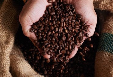 Café, soja e açúcar enfrentam desafios de mercado e clima