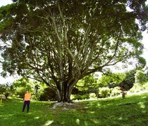 Circuito promove imersão artística em meio à natureza em Maceió
