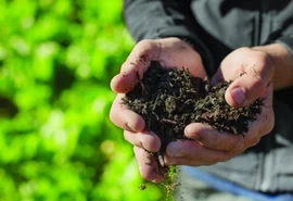 Cooperativismo agropecuário amplia ações para monitorar emissões de carbono