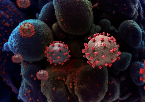 Covid-19: foram confirmados três óbitos e onze casos em Alagoas nesta segunda(04)