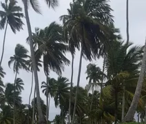 Semarh emite novo aviso para rajadas de vento acima de 50 km/h em Alagoas