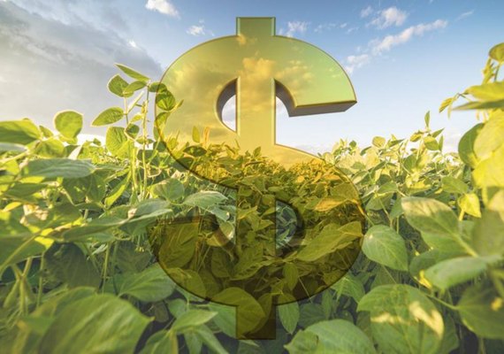 R$14 bi serão liberados pelo Sicoob para Plano Safra 2019/2020