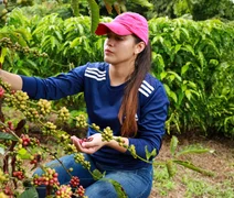 Novo rearranjo da exportação de café é liderado pelo Brasil e isso está na mão das cooperativas