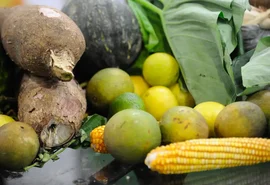 Agrotóxicos: 25% dos alimentos de origem vegetal no Brasil têm resíduos