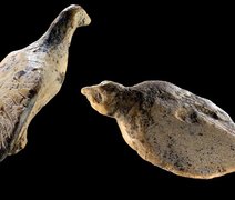 Aves esculpidas em presas de mamute de 40 mil anos são achadas em caverna
