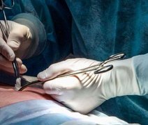 Rim de porco geneticamente modificado mantém paciente vivo por nove meses