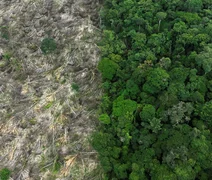 Alertas de desmatamento na Amazônia caem e atingem menor nível da série
