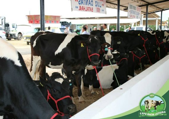 Expo Bacia libera inscrições para Seminário da Cadeia do Leite