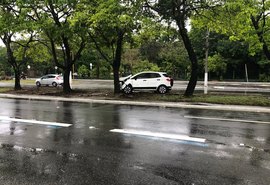 Motorista fica ferido após colidir contra árvore, na Fernandes Lima