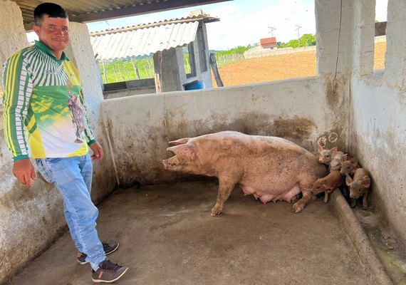 Criação sustentável de suínos em AL vira caso de sucesso na agricultura familiar