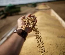 Faturamento das cooperativas agropecuárias cresceu 20% em 2022