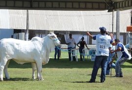 Expoalagoas Genética Itinerante será vitrine para a pecuária de AL