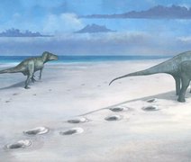 Nova espécie de dinossauro gigante é descoberta na Tailândia