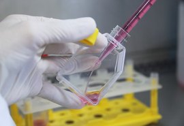 Empresa brasileira avança em vacina contra Covid-19