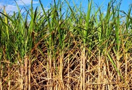 ATR de maio tem crescimento de 3% face abril