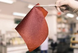 Saiba como produzir bioplástico a partir da casca de banana