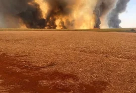 Incêndios já causaram prejuízos de mais de R$ 1,5 bilhão a produtores de cana, diz Orplana