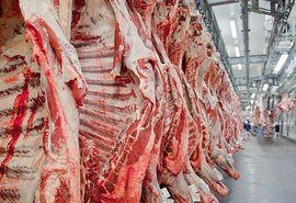 Exportações de carne do Brasil devem crescer 8,8%