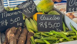 Feira em Murici reúne produtores de 8 municípios