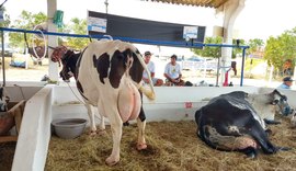 Retomada da Expo Bacia Leiteira é conquista para o setor