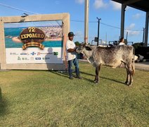Exposições regionais do gado leiteiro têm início na 72ª Expoagro Alagoas
