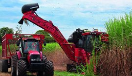 Equipamentos da usina Floralco estão sendo vendidos e podem ir para o exterior