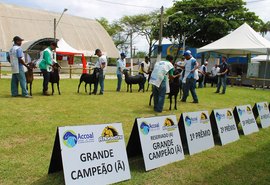 ACA estima crescimento de 10% em volume de negócios da 9ª Expoalagoas Genética