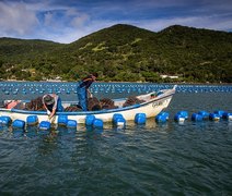 Atualização cadastral da Licença do Aquicultor tem prazo prorrogado para 2025